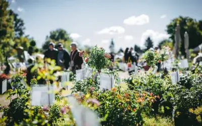 Les blogueurs ont le coup de cœur pour Blandy-les-Tours