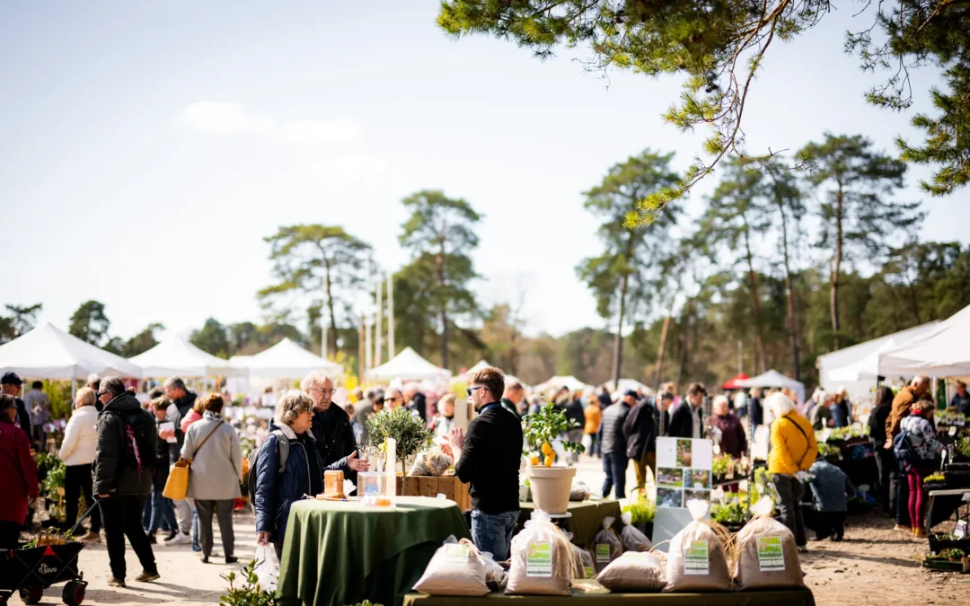 Ateliers & astuces : jardiner avec plaisir au printemps et à l’automne