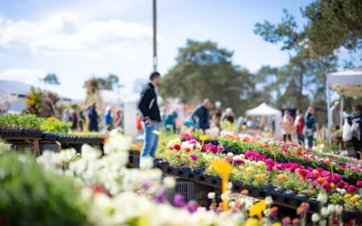 Les Journées des Plantes et Art du Jardin célèbrent leur 10ème édition