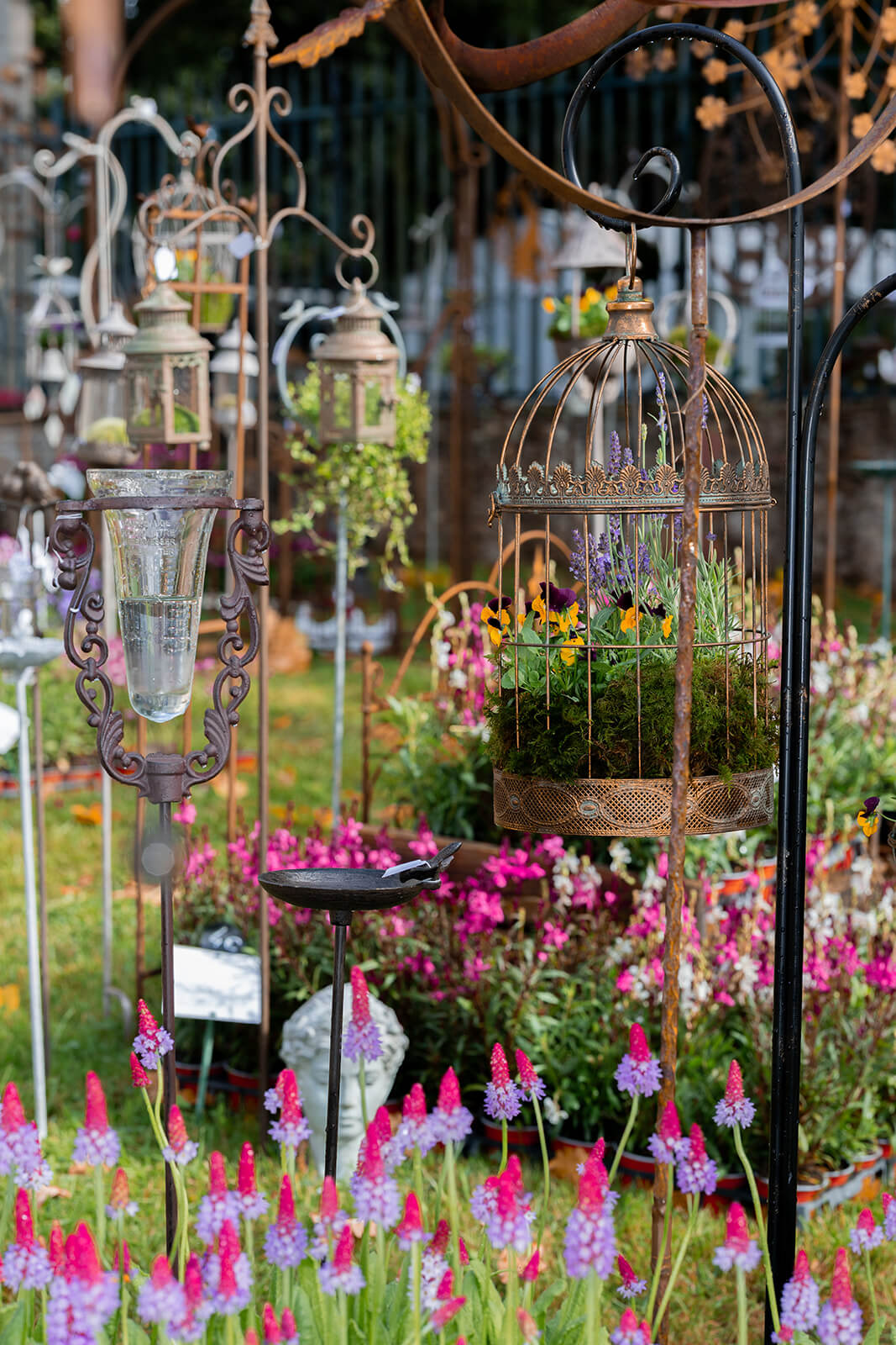 Fête des plantes Jossigny - Édition octobre 2025